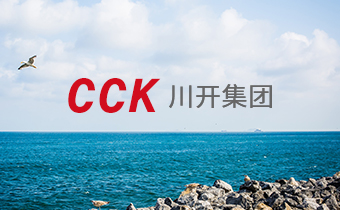 黨旗飄飄 情系災區(qū)——公司全體黨員交納特殊黨費2.9萬余元